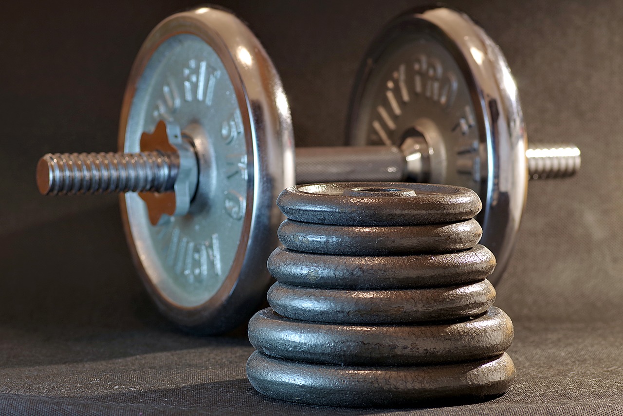 sport, gym, fitness